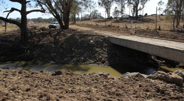 Native fish free to migrate